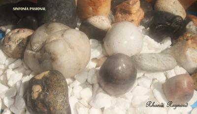 SINFON&Iacute;A PASIONAL