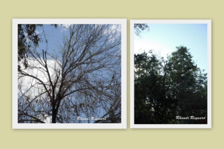 NI&Ntilde;OS, PEQUE&Ntilde;OS NI&Ntilde;OS