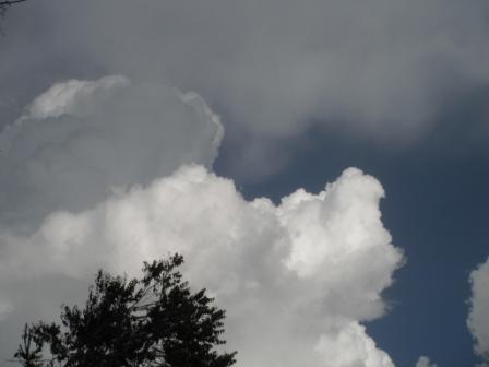 QUI&Eacute;N SOY, A D&Oacute;NDE VOY