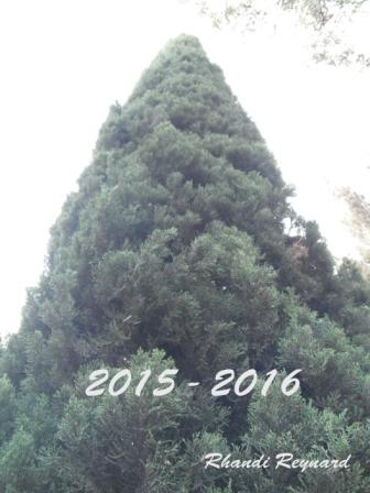 &iexcl;TERR&Iacute;COLAS!